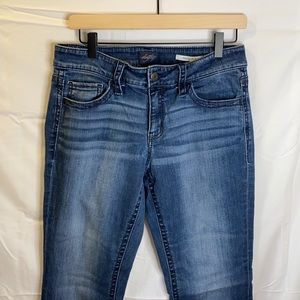 Daytrip Virgo Flare Jeans